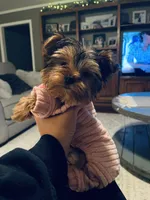 processed/98cb5b17-2506-41f3-b879-3e4ad72241b2/facility/3e54c8f4-ed60-4273-8608-b3f2ba005c44