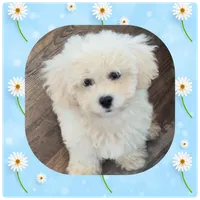 processed/98cb5b17-2506-41f3-b879-3e4ad72241b2/facility/4c3c81a2-1153-4cb5-9fe7-45c680bb14a9