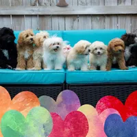 processed/98cb5b17-2506-41f3-b879-3e4ad72241b2/facility/63bea7ad-2061-4dd8-80a8-07add5838866