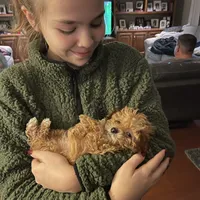 processed/98cb5b17-2506-41f3-b879-3e4ad72241b2/facility/92071812-80b8-4669-aead-f7a6694055dd