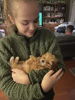 processed/98cb5b17-2506-41f3-b879-3e4ad72241b2/facility/92071812-80b8-4669-aead-f7a6694055dd