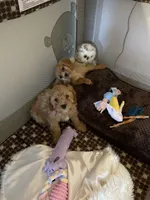 processed/98cb5b17-2506-41f3-b879-3e4ad72241b2/facility/c13c866e-d375-43e4-995a-30db4ea7b1de