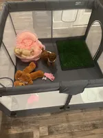 processed/98cb5b17-2506-41f3-b879-3e4ad72241b2/facility/e638769d-0373-415b-a381-fcf874ed579c