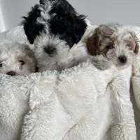 processed/98cb5b17-2506-41f3-b879-3e4ad72241b2/facility/fed969cf-835b-45dc-baa4-148244383396