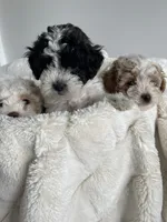 processed/98cb5b17-2506-41f3-b879-3e4ad72241b2/facility/fed969cf-835b-45dc-baa4-148244383396