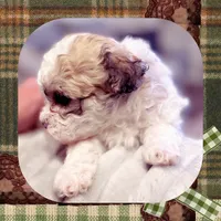 processed/98cb5b17-2506-41f3-b879-3e4ad72241b2/listing/0a5bed6e-0515-4556-8082-e71f185cc219/7118189f-2935-49e2-933b-2b2a3864b0cf