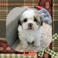 processed/98cb5b17-2506-41f3-b879-3e4ad72241b2/listing/0a5bed6e-0515-4556-8082-e71f185cc219/a3fb7552-584a-4697-8dff-cc75d30d2646