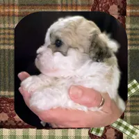 processed/98cb5b17-2506-41f3-b879-3e4ad72241b2/listing/0a5bed6e-0515-4556-8082-e71f185cc219/beaaae81-2c61-40b9-af6e-aaf67b41f233