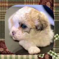 processed/98cb5b17-2506-41f3-b879-3e4ad72241b2/listing/0a5bed6e-0515-4556-8082-e71f185cc219/c834bb85-3b08-448f-a011-08aa66818082