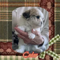 processed/98cb5b17-2506-41f3-b879-3e4ad72241b2/listing/0a5bed6e-0515-4556-8082-e71f185cc219/d0d8ade7-8ecb-43a0-baaf-c646fb886dc3