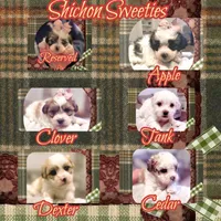 processed/98cb5b17-2506-41f3-b879-3e4ad72241b2/listing/11aa7965-642d-45e0-85fd-02c665461d90/49439b02-3aeb-4484-8d02-2df6f7618538