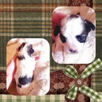 processed/98cb5b17-2506-41f3-b879-3e4ad72241b2/listing/11aa7965-642d-45e0-85fd-02c665461d90/999bea6d-949f-4761-ad5c-2056a38ac600