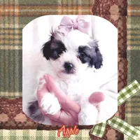 processed/98cb5b17-2506-41f3-b879-3e4ad72241b2/listing/11aa7965-642d-45e0-85fd-02c665461d90/9c3bdb33-aabd-4b2a-bab4-140c18656ab2