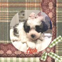 processed/98cb5b17-2506-41f3-b879-3e4ad72241b2/listing/11aa7965-642d-45e0-85fd-02c665461d90/e7a6c82a-a3d4-46b5-a846-17daad83388c