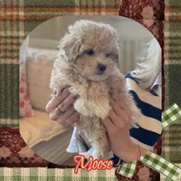 processed/98cb5b17-2506-41f3-b879-3e4ad72241b2/listing/151975b6-6ea5-47c8-807b-abe4e2b03075/9560c7e9-1939-42f9-97d2-813434322fe9