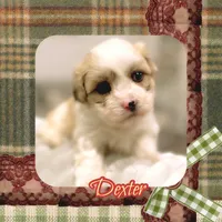 processed/98cb5b17-2506-41f3-b879-3e4ad72241b2/listing/94d0f40c-de95-4826-8056-f6f564237282/302d4300-9f4c-4621-82b3-f0164bee8725