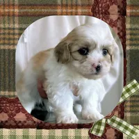 processed/98cb5b17-2506-41f3-b879-3e4ad72241b2/listing/94d0f40c-de95-4826-8056-f6f564237282/5e441c39-9fbc-49b2-9c33-fa1c3b883bdd