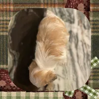 processed/98cb5b17-2506-41f3-b879-3e4ad72241b2/listing/94d0f40c-de95-4826-8056-f6f564237282/bb99ea35-b428-45e2-ad35-4695df309e76