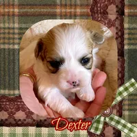 processed/98cb5b17-2506-41f3-b879-3e4ad72241b2/listing/94d0f40c-de95-4826-8056-f6f564237282/e212e2f7-7719-42ce-ac1f-1a7c80090aa0