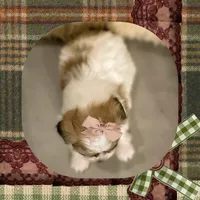 processed/98cb5b17-2506-41f3-b879-3e4ad72241b2/listing/beffd985-893f-4b8d-9d59-c0bc48213440/31fb033e-300c-492d-b513-69693dd46bc5