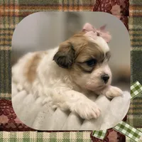 processed/98cb5b17-2506-41f3-b879-3e4ad72241b2/listing/beffd985-893f-4b8d-9d59-c0bc48213440/3a4b695c-6df9-4208-bff6-5389eda3a499