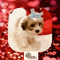 processed/98cb5b17-2506-41f3-b879-3e4ad72241b2/listing/beffd985-893f-4b8d-9d59-c0bc48213440/6b2a9616-feb2-4a1c-83c5-5bad766b8f2d