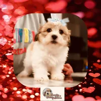 processed/98cb5b17-2506-41f3-b879-3e4ad72241b2/listing/beffd985-893f-4b8d-9d59-c0bc48213440/b0dd8f4c-31e1-4217-bb05-2a77705c56af