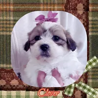 processed/98cb5b17-2506-41f3-b879-3e4ad72241b2/listing/beffd985-893f-4b8d-9d59-c0bc48213440/d1daf259-f4b1-4261-9847-0d20bcd0ce03