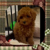 processed/98cb5b17-2506-41f3-b879-3e4ad72241b2/listing/e055f4b0-b9be-4e5a-99ce-cf696d3bec72/98e2caa3-6401-4162-91b0-a88fedebaf7d