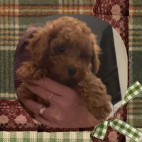 processed/98cb5b17-2506-41f3-b879-3e4ad72241b2/listing/e055f4b0-b9be-4e5a-99ce-cf696d3bec72/b1ba7a2d-b38b-4081-8c8d-8ff3e6c70a71