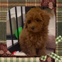 processed/98cb5b17-2506-41f3-b879-3e4ad72241b2/listing/e055f4b0-b9be-4e5a-99ce-cf696d3bec72/c318a8a7-e962-40d7-9bb3-ca08b3c9dc39