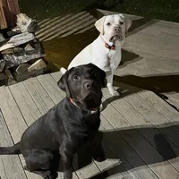 processed/98e2ea81-6ab3-4e6a-a223-c9796409d02a/facility/2fe743f2-392c-4260-a6ea-66a23501c6ae