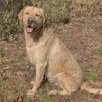 processed/98e2ea81-6ab3-4e6a-a223-c9796409d02a/facility/6383e58c-d613-4d40-b8e6-6c650f4e75dc