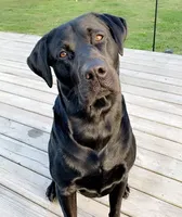 processed/98e2ea81-6ab3-4e6a-a223-c9796409d02a/facility/75ff2b4d-6b00-4781-a69a-033c92866d58