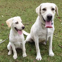 processed/98e2ea81-6ab3-4e6a-a223-c9796409d02a/facility/7a1a6c88-8929-4661-bac3-d66b24365874