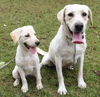 processed/98e2ea81-6ab3-4e6a-a223-c9796409d02a/facility/7a1a6c88-8929-4661-bac3-d66b24365874