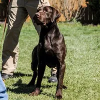 processed/98e2ea81-6ab3-4e6a-a223-c9796409d02a/facility/8dbc111d-1708-42f5-a526-fdbd1a56791a