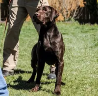 processed/98e2ea81-6ab3-4e6a-a223-c9796409d02a/facility/8dbc111d-1708-42f5-a526-fdbd1a56791a