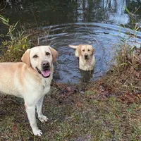 processed/98e2ea81-6ab3-4e6a-a223-c9796409d02a/facility/c8a27fa0-e34f-4b8b-8d55-cfdeae974786