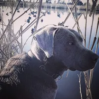 processed/98e2ea81-6ab3-4e6a-a223-c9796409d02a/facility/eeb5cca6-892f-4243-89aa-ba1ba3c070cc