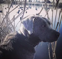 processed/98e2ea81-6ab3-4e6a-a223-c9796409d02a/facility/eeb5cca6-892f-4243-89aa-ba1ba3c070cc