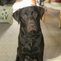 processed/98e2ea81-6ab3-4e6a-a223-c9796409d02a/facility/fa336038-42cd-4999-b5da-2ad4c088c378