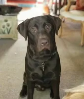 processed/98e2ea81-6ab3-4e6a-a223-c9796409d02a/facility/fa336038-42cd-4999-b5da-2ad4c088c378