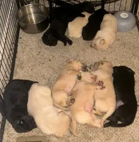 processed/98e2ea81-6ab3-4e6a-a223-c9796409d02a/listing/46fd5461-ead4-4fb4-bcb2-6cefddc6d6b7/1855ae72-f425-4466-8510-e956bd670728