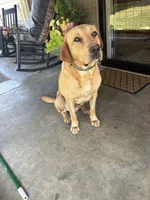 processed/98e2ea81-6ab3-4e6a-a223-c9796409d02a/listing/46fd5461-ead4-4fb4-bcb2-6cefddc6d6b7/5fc00400-daa5-4555-ba1b-a9ed723dcf1b