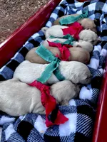 processed/98e2ea81-6ab3-4e6a-a223-c9796409d02a/listing/69fac2d7-ad80-4b8c-98cc-80b3f5761c51/c7a63667-0848-455e-862c-928cef85aebd