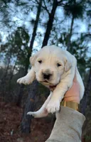 processed/98e2ea81-6ab3-4e6a-a223-c9796409d02a/listing/69fac2d7-ad80-4b8c-98cc-80b3f5761c51/e4ba8673-abe3-48cc-9047-4530bd8161e6