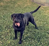 processed/98e2ea81-6ab3-4e6a-a223-c9796409d02a/listing/b3f63b5e-bb4b-4e0c-aebc-854320290a74/052f0e54-11c5-4764-9855-7ecf685cfd40