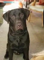 processed/98e2ea81-6ab3-4e6a-a223-c9796409d02a/listing/b3f63b5e-bb4b-4e0c-aebc-854320290a74/6a2e9975-2642-4415-872c-b11688796031