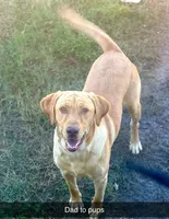 processed/98e2ea81-6ab3-4e6a-a223-c9796409d02a/listing/b3f63b5e-bb4b-4e0c-aebc-854320290a74/d0be0fa4-1b66-4b5d-a82e-51a53fbfcdca